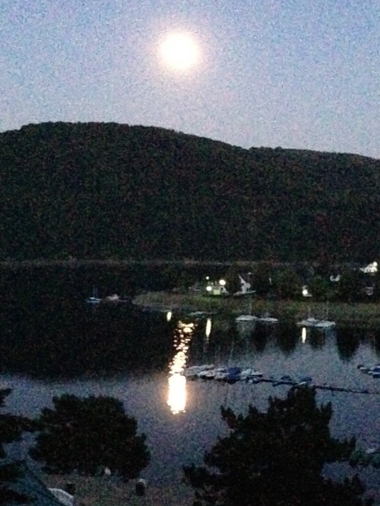 2015_07_01 Mondlicht im Wasser