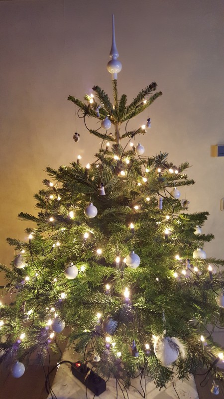 2015_12_22 Weihnachtsbaum